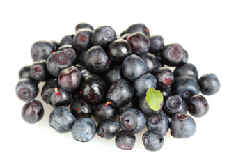 Fresh blueberries isolated on white