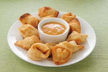 Crab rangoon closeup