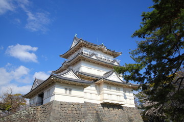 Fototapeta na wymiar Odawara Castle