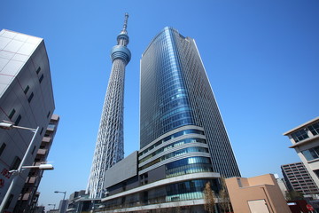 Naklejka premium Tokyo sky tree, Japan