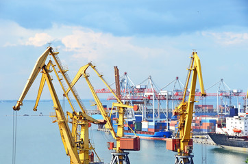 Container stack and ship under crane bridge
