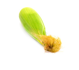 corn on a white background © schankz