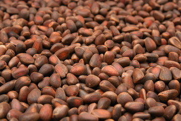 Pine nuts background, in shells, not peeled