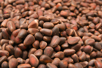 Obraz premium pine nuts in the background
