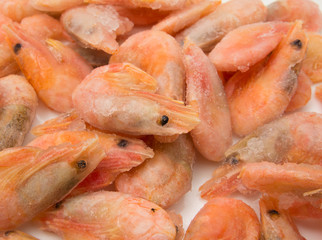 close up of frozen shrimps