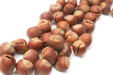 hazelnuts on a white background