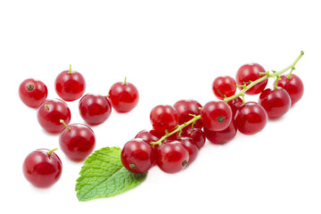 Frische rote Johannisbeeren auf weißem Hintergrund