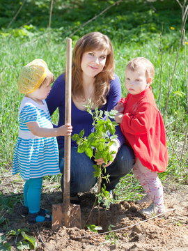 family planting sprouts