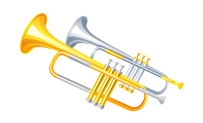 Obraz na płótnie Canvas vector icon trumpet