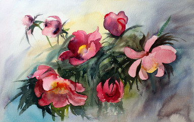 Watercolor painting of the beautiful flowers.