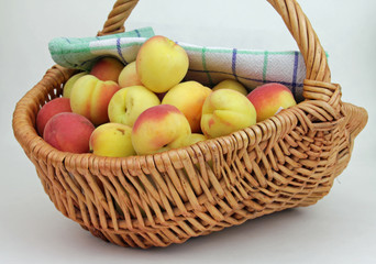 Frische Früchte