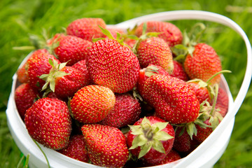 Ripe strawberry in basket on grass