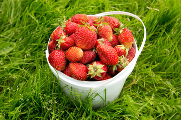 Ripe strawberry in basket on grass