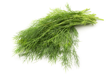Fresh green dill on white