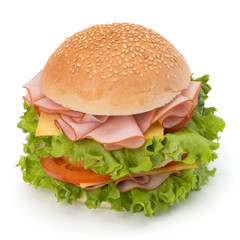 Junk food hamburger