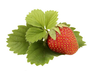 sweet ripe strawberries with leaves isolated on white