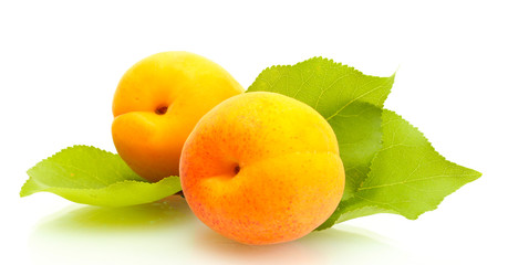 ripe sweet apricots with green leaves isolated on white