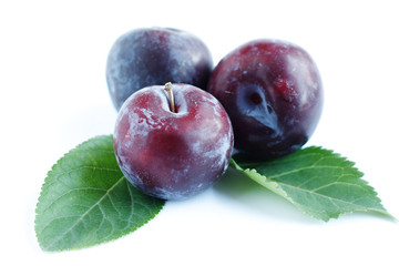 Ripe plum close-up and green leaves