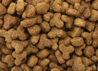 background of dry cat food