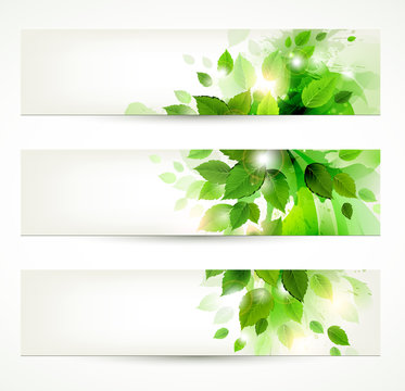 set of three banners with fresh green leaves