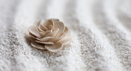 fleur dans le sable méditation calme