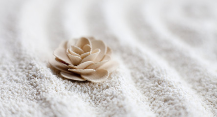 fleur en bois dans le sable