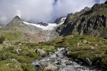 Fototapeta na wymiar Riachuelo alpes