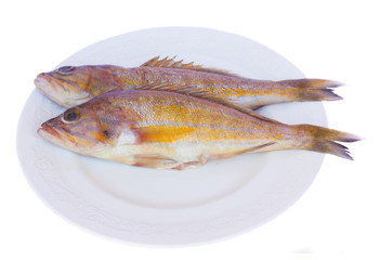 fresh fish on plate