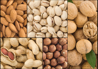 set of nuts collage