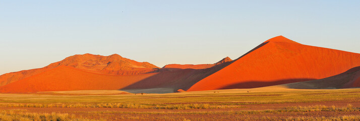 Namib panorama near Sossusvlei, Namibia - obrazy, fototapety, plakaty