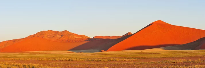 Zelfklevend Fotobehang Namib panorama near Sossusvlei, Namibia © dpreezg