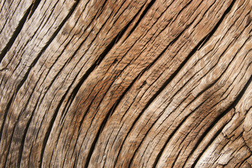 Very Old Wood Background