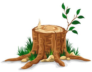 Tree stump