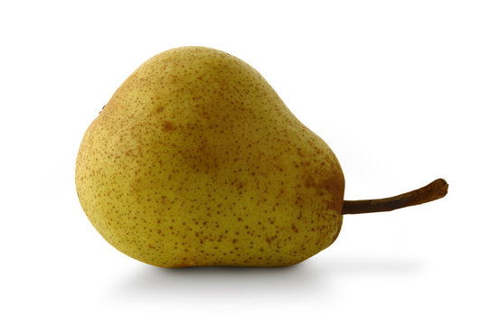 Pear, Green William