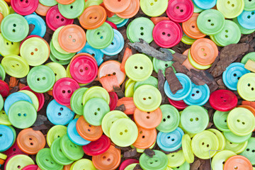 color of the buttons
