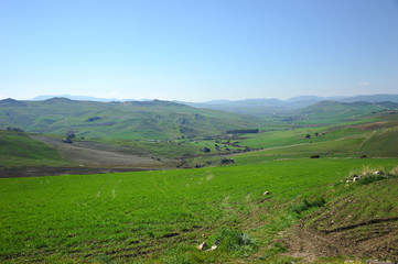 Landscapes of Sicily