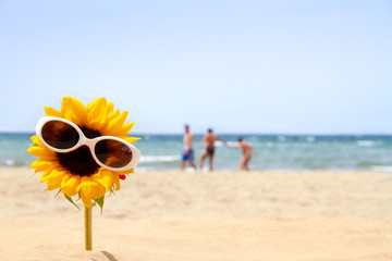 funny sunflower with sunglasses on beach