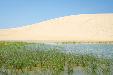 Sand dune in Jockey's Ridge State Park in North Carolina