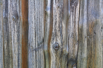 Obraz premium Weathered wood planks