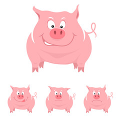 Funny cartoon pig with various emotions. Vector illustration