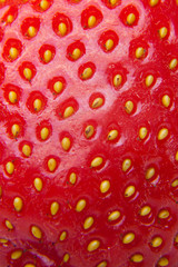 Detailed surface shot of a fresh strawberry