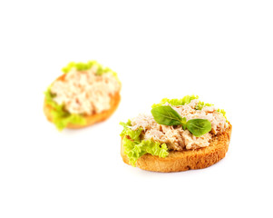 Homemade pate on a slice of bread