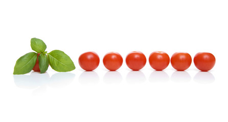 Row of cherry tomatoes with basil isolated on white
