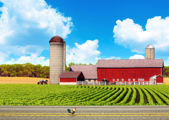 American Country Road With Blue Sky © maksymowicz