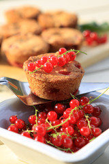 Muffins mit Johannisbeeren