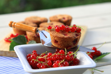 Muffins mit Johannisbeeren