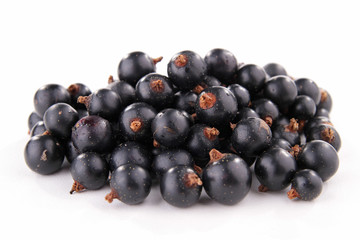 isolated blackcurrant