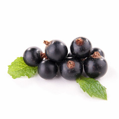 isolated blackcurrant