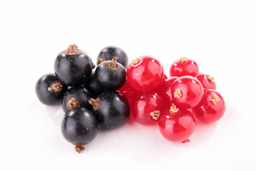 black and red currant
