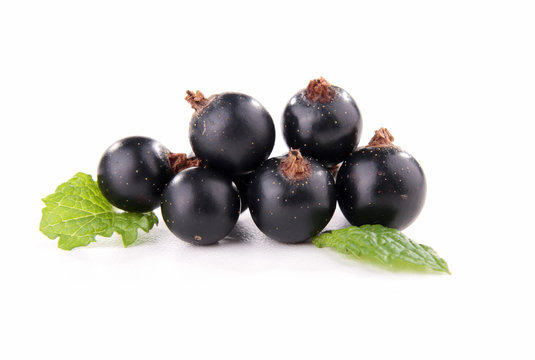 isolated blackcurrant